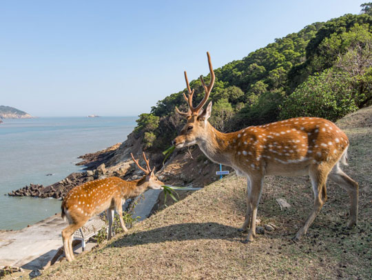 大坵