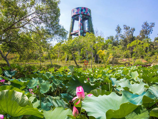 金門植物園