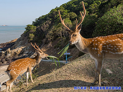 【團體旅遊豐富行】北海坑道尋找藍眼淚、台版鹿兒島、媽祖巨神像 馬祖南北竿、大坵島三日﹝機去機回﹞